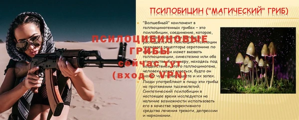 герыч Горняк