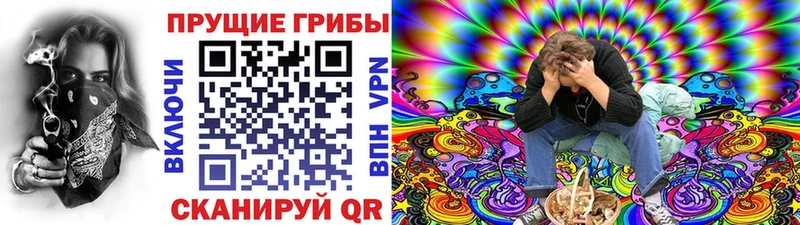 Купить  Ужур  Галлюциногенные грибы Psilocybine cubensis 